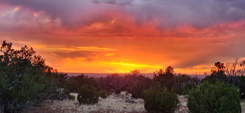 DesertSky Off-Grid Homestead